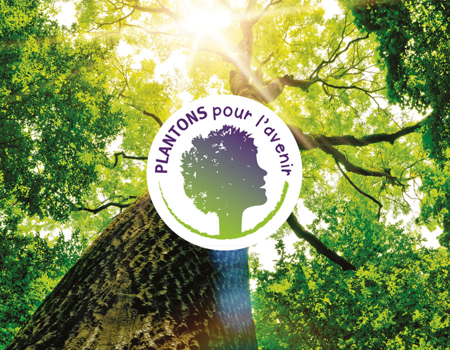 explorez le lien entre les forêts et notre avenir. découvrez comment la préservation des forêts contribue à la biodiversité, à la lutte contre le changement climatique et au développement durable. engagez-vous pour un futur où la nature et l'humanité coexistent en harmonie.